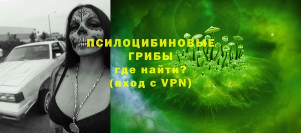 гашик Няндома